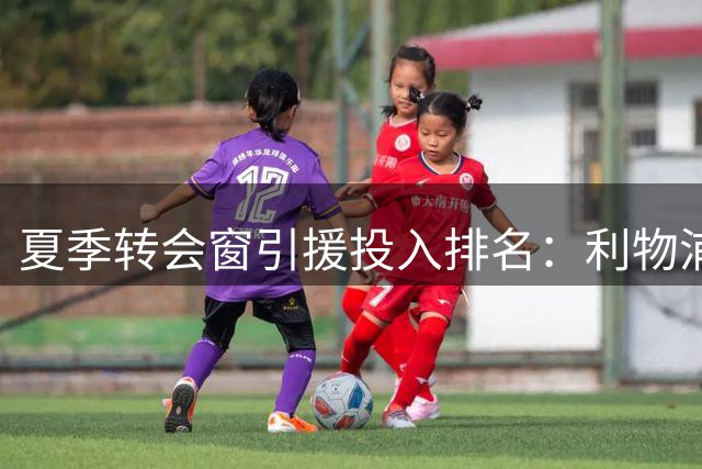 夏季转会窗引援投入排名：利物浦上赛季登顶，蓝军本期第三